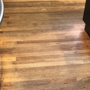 Photo of Los Angeles Carpet Cleaners