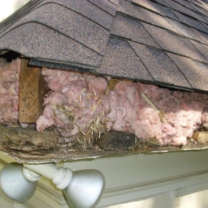 Photo of Above & Beyond Gutters
