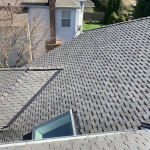 Photo of Alpha Roofers