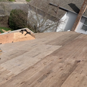 Photo of Alpha Roofers