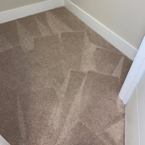 Photo of Sheen 24/7 Restoration & Cleaning Solutions