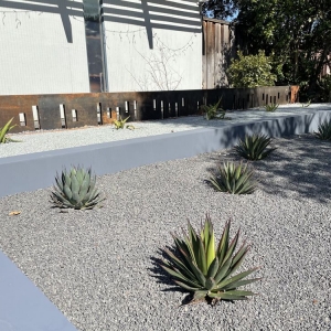 Photo of Mscape Design