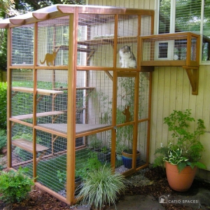 Photo of Catio Spaces
