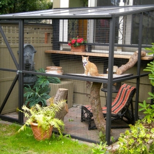 Photo of Catio Spaces