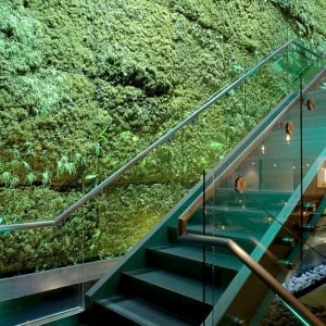 Photo of ASN Natural Stone