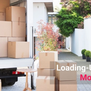 Photo of Rapimove