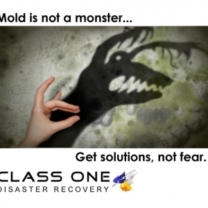 Photo of Class One Disaster Recovery