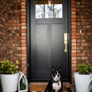 Photo of Discount Door & Trim