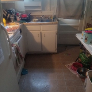 Photo of Pro31 Cleaning Services