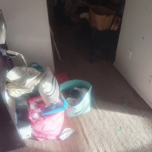 Photo of Pro31 Cleaning Services