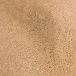 Photo of Three Rivers Chem Dry