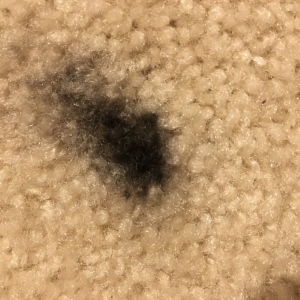 Photo of Three Rivers Chem Dry