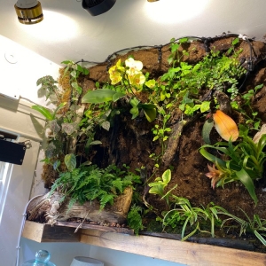Photo of Handyman Creative Solutions