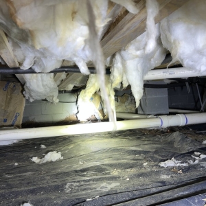 Photo of CrawlspaceER