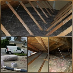 Photo of Attic 911 Service