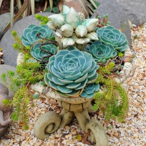 Photo of The Foxy Garden Landscape Design