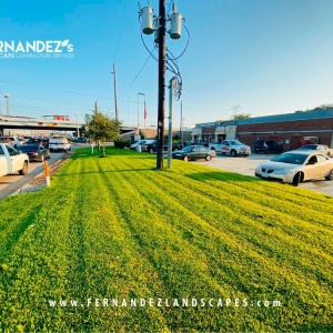 Photo of Fernandez Landscape Contractors Services
