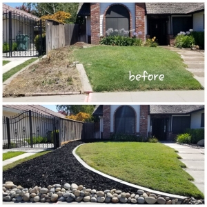 Photo of Travis Preston Landscaping