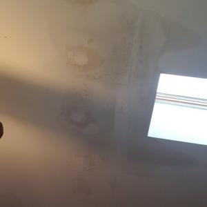 Photo of Spray Foam Insulators