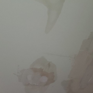 Photo of Spray Foam Insulators