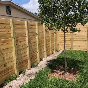 Photo of Zofe Fence