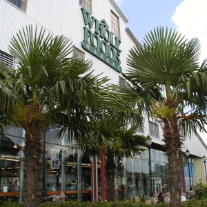 Photo of Artscape Land Design