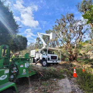 Photo of ArborCare Tree Care