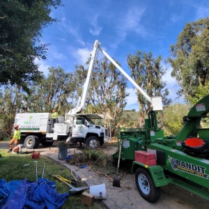 Photo of ArborCare Tree Care