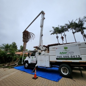 Photo of ArborCare Tree Care