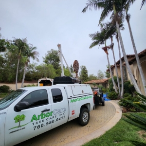 Photo of ArborCare Tree Care