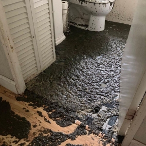 Photo of Minneapolis Water Damage Specialist 24/7, MN Mold Remediation