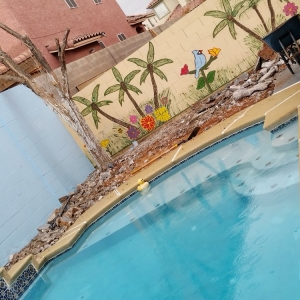 Photo of JR Landscaping