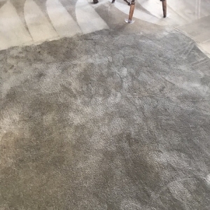 Photo of Premier Carpet Care