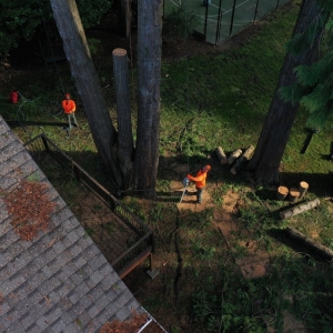 Photo of Morton Tree and Landscape Maintenance