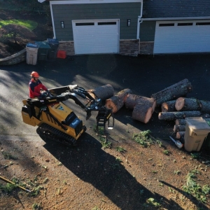 Photo of Morton Tree and Landscape Maintenance