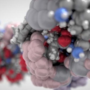 Photo of DG Medical Animations