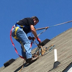 Photo of Professional Home Services