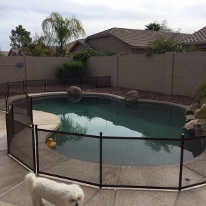 Photo of Pool Barrier of Arizona