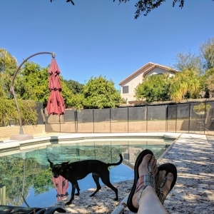 Photo of Pool Barrier of Arizona