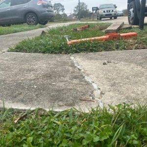 Photo of Reliable Foundations