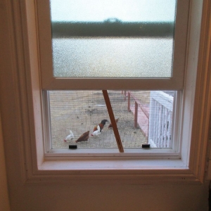 Photo of SOS Window & Screen Repair