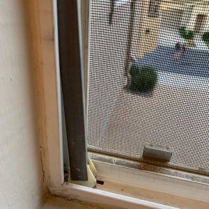 Photo of SOS Window & Screen Repair