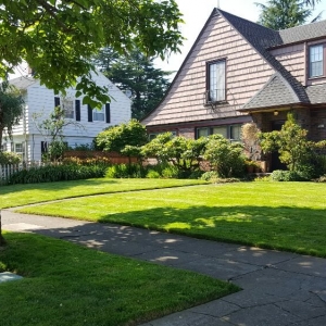 Portland Mannnys Property Maintenance
