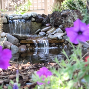 Photo of Colorado Backyard Retreats