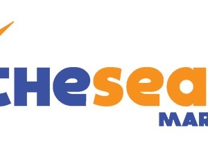Photo of The Search Market Firm