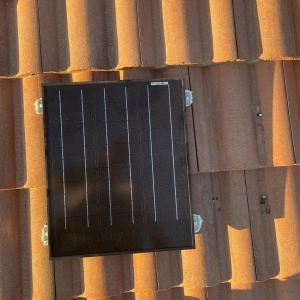 San Diego Eco Experts