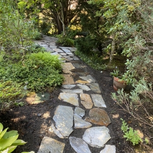 Photo of Precise Lawn Care