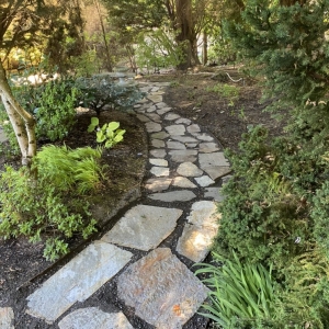 Photo of Precise Lawn Care
