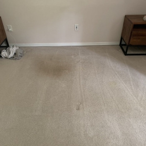 Photo of Clearwater Carpet Cleaners