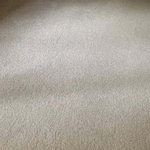 Photo of Clearwater Carpet Cleaners